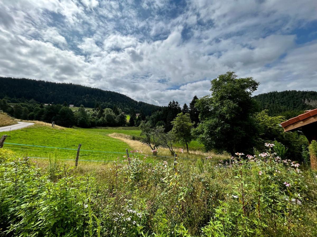 Stone Lake Luxury Lodge Gérardmer Kültér fotó
